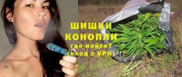 молекула духа Гусев