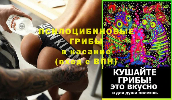 молекула духа Гусев