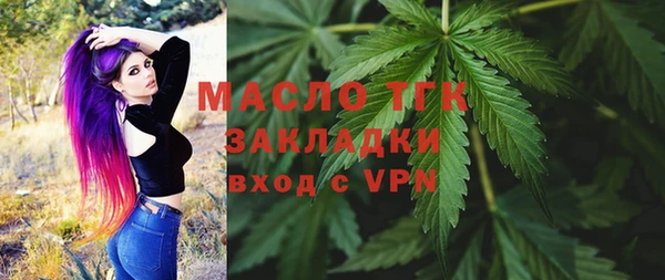 молекула духа Гусев