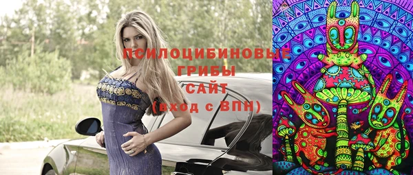 молекула духа Гусев